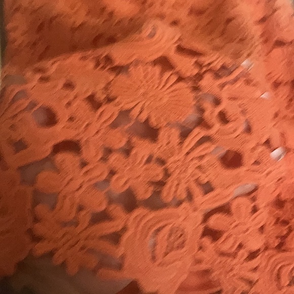 LACE DRESS - Picture 5 of 6